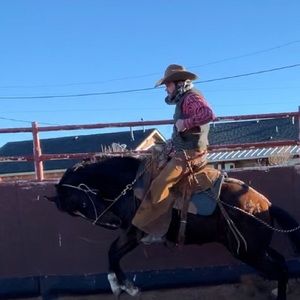 Meet your Posher, Wyatt